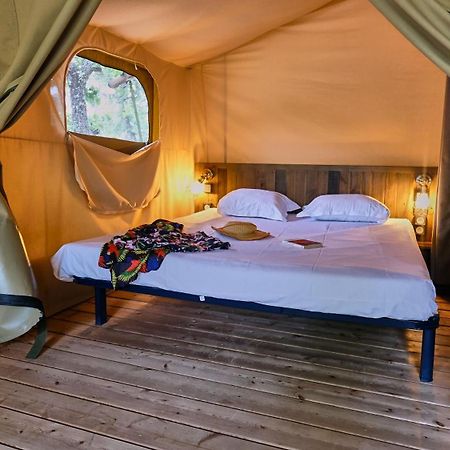 Domaine Les Chenes Blancs Otel Saint-Saturnin-lès-Apt Dış mekan fotoğraf