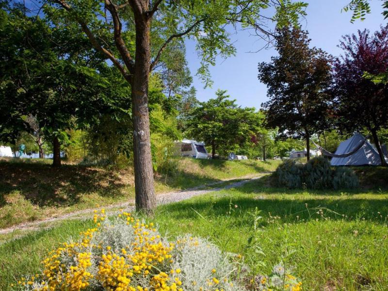 Domaine Les Chenes Blancs Otel Saint-Saturnin-lès-Apt Dış mekan fotoğraf