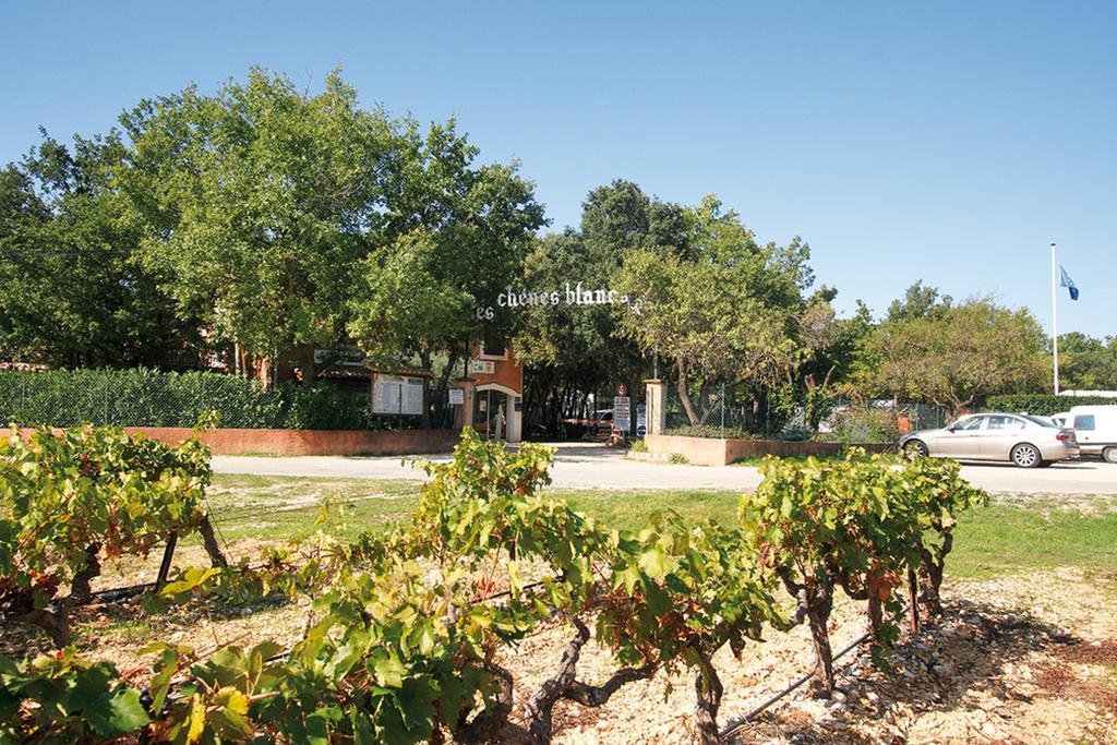 Domaine Les Chenes Blancs Otel Saint-Saturnin-lès-Apt Dış mekan fotoğraf